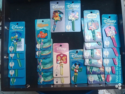 Stock chiavi della - 25,